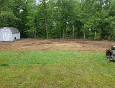 Safe Tree Removal and Stump Grinding for Residential Properties Safe Tree Removal and Stump Grinding for Residential Properties