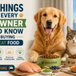 10 Things Every Pet Owner Should Know Before Buying Dog and Cat Food in the UAE