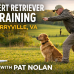 Professional Field Trial Dog Trainers in Berryville, VA | Expert Retriever Training with Pat Nolan