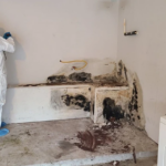 Understanding Mold Removal Services in Murfreesboro, TN: What Every Homeowner Should Know