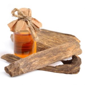 Why Is Agarwood Oil Export the Preferred Choice for Global Wholesale Buyers?