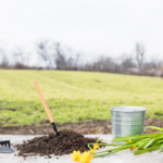 Ozone Water Treatment Alberta: A Practical Guide to Cleaner Farm Water