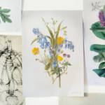Print vs Digital: Why Physical Wall Art Still Matters in a Digital Photo World