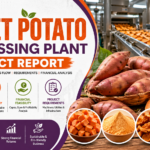 Sweet Potato Processing Plant Startup Guide 2026: Industry Insights & Investment Planning