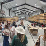 Exploring the Charm of Texas Hill Country Wine Tours
