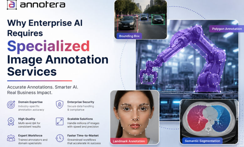 Why Enterprise AI Requires Specialized Image Annotation Services