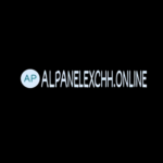 AllPanelExch: A Modern Platform for Online Sports and Casino Entertainment