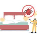 Reclaim Your Home: Professional Cockroach Extermination That Works