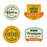 Printable Badges vs. Custom Patches: Which One Fits Your Project?
