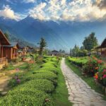 Delhi to Palampur Taxi | Delhi to Palampur Cab