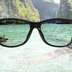 pldeyewear2-30970