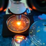 Egg Freezing Process: Steps, Benefits, Costs, and What to Expect