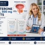 Understanding Abiraterone Acetate 500 mg Price for Buyers – Oddway