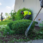 What Seasonal Yard Care Looks Like in Oneonta