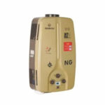 Gas and electric hybrid geyser