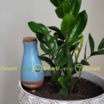 Small Space Gardening: How to Grow More Plants in Less Space