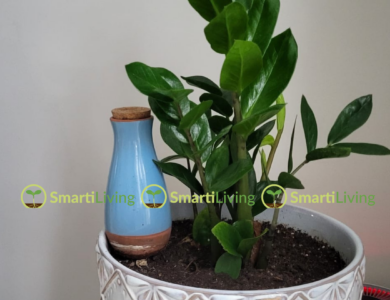 Small Space Gardening: How to Grow More Plants in Less Space