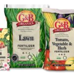 Beginner Gardening Tips for Tools and Basic Setup