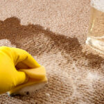 Carpet Cleaning Fairfax | Professional Services by Cardinal Cleaning Solution