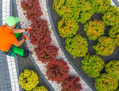 Why Do Landscapers Love Creating Beautiful Gardens?