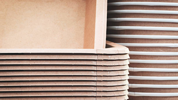Why Paper-Based Packaging Trays Are Becoming the Preferred Choice for Sustainable Packaging