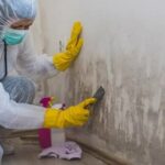 Mould Removal Singapore: How to Stop Mould Before It Returns