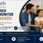 Supervised Visitation Monitoring and Child Safety