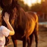 How Does a Horse Healing Experience Help People Connect With Horses?