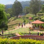 Taxi from Bangalore to Ooty | Check Taxi Fare & Book Online