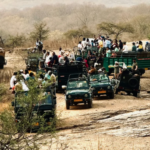 Tiger Safari in Ranthambore | Jeep & Canter Tours