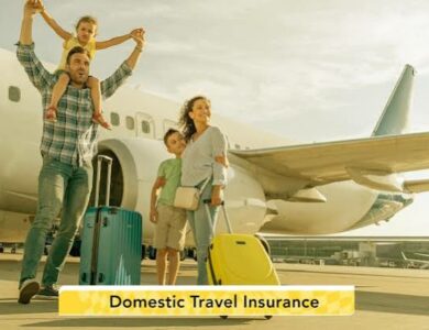 Domestic Travel Insurance in India: Is It Worth Buying for Local Trips?