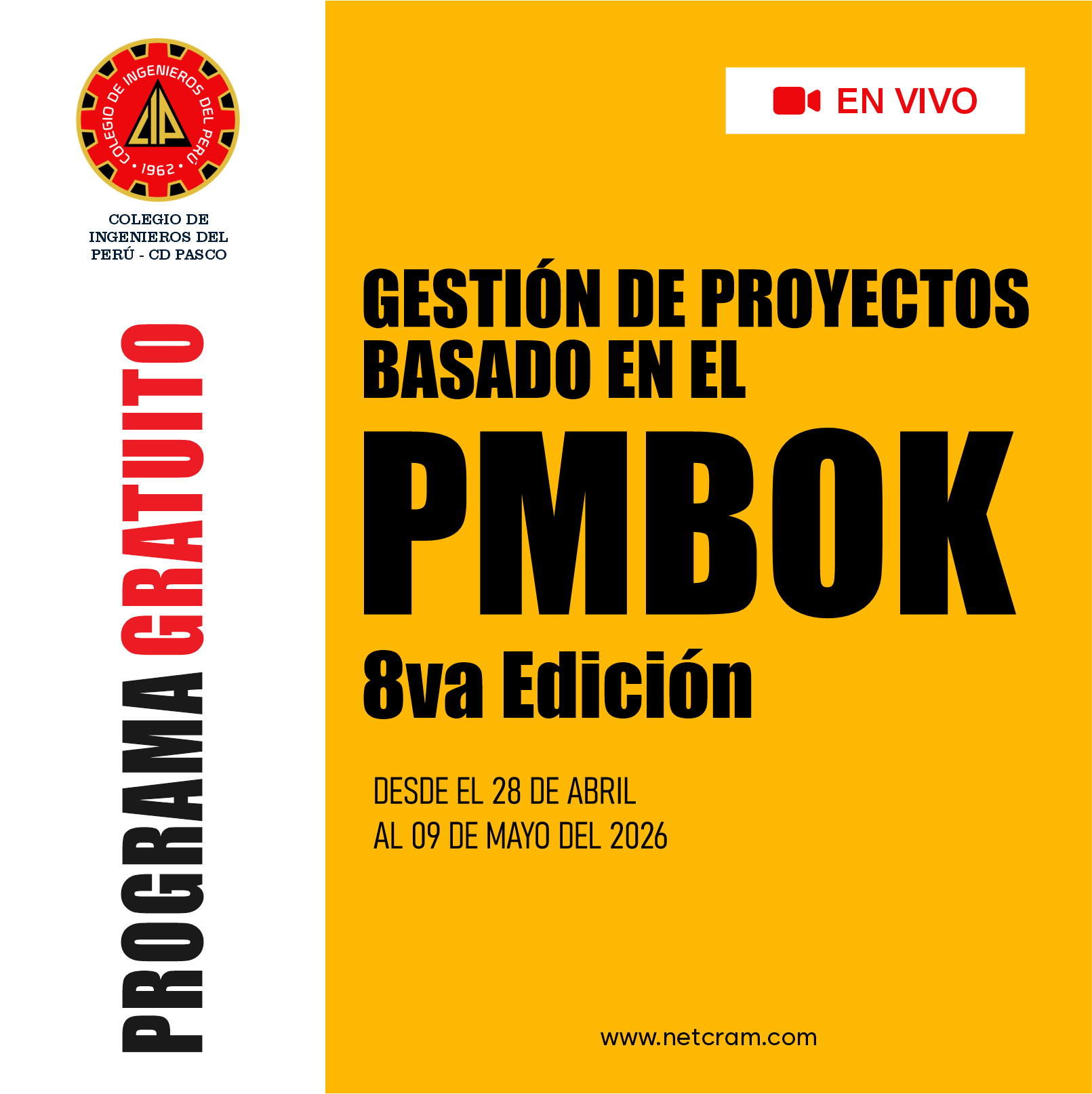 Gestión de Proyectos Basado en el PMBOK 8va Edición - Curso Gratuito ...