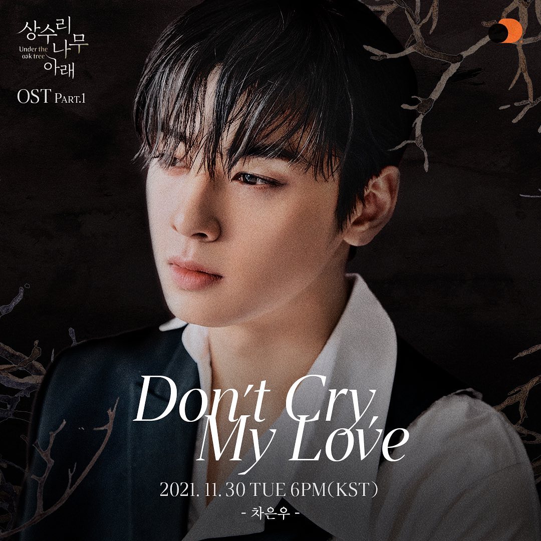 Cha Eun Woo (차은우) – Don’t Cry, My Love Lyrics | Genius Lyrics