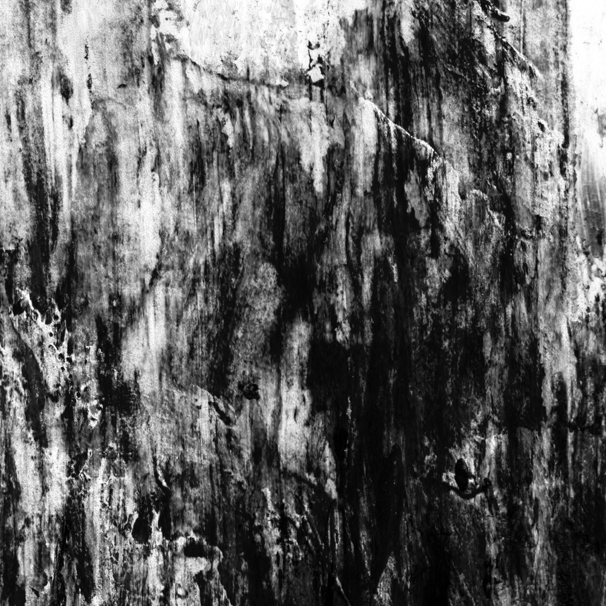 Hild – The Color of the Void Lyrics | Genius Lyrics