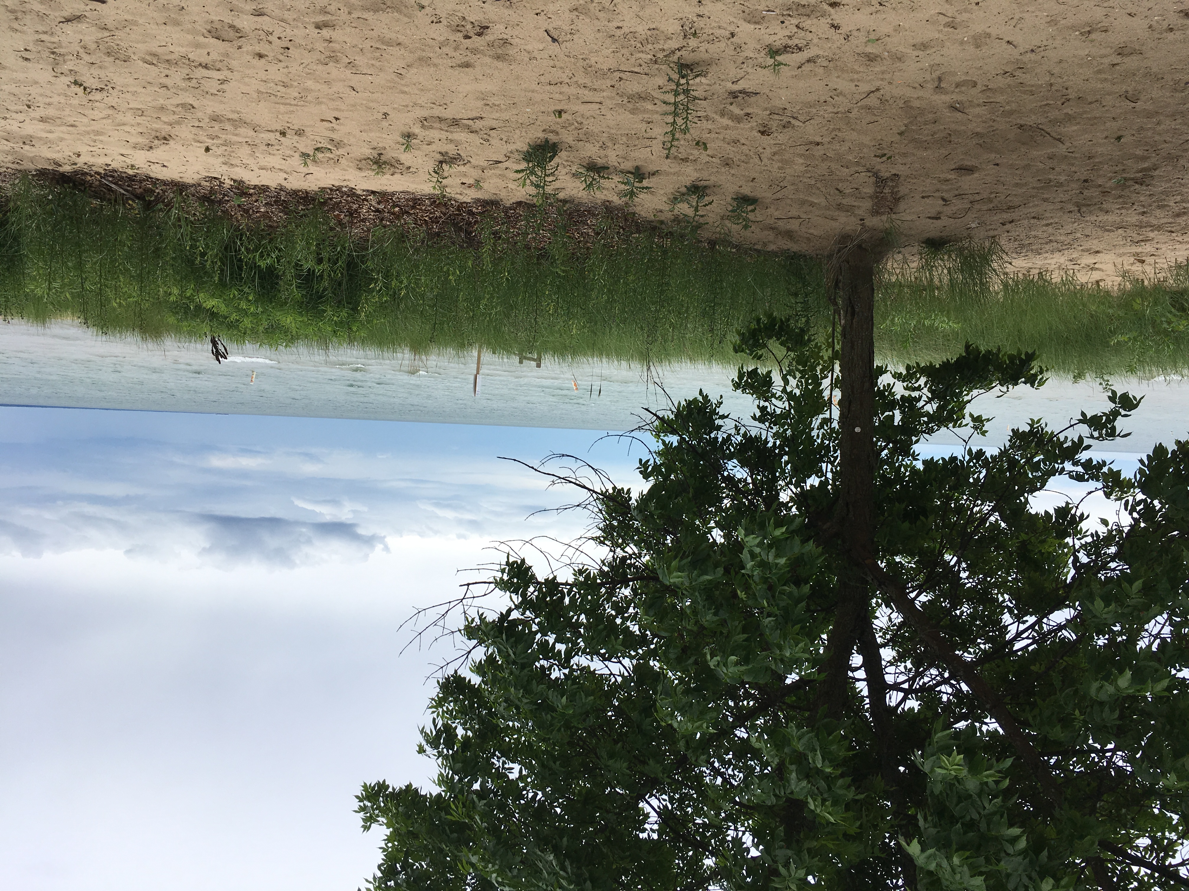 Red Sun Rising Emotionless Lyrics Genius Lyrics