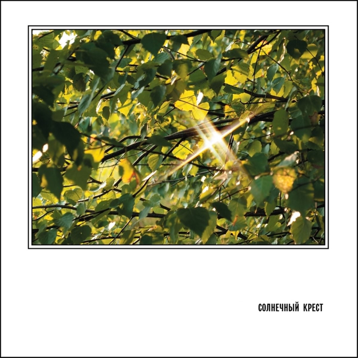 Инструкция по Выживанию (The Survival Manual) - Солнечный крест (Sunny ...