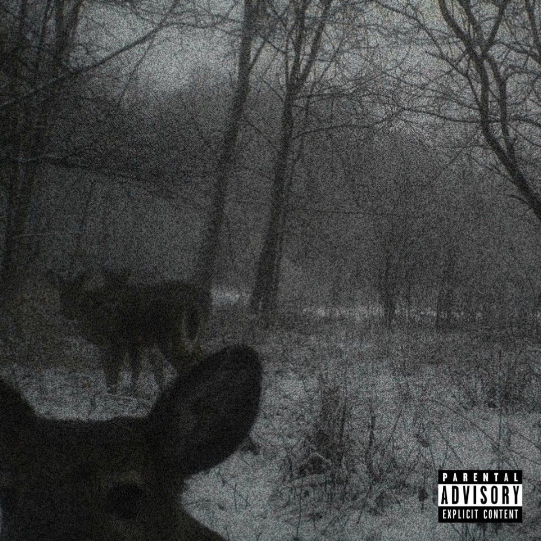 CROWSIGN - SNOW Lyrics and Tracklist | Genius