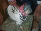 189039.30003.34180_thumb