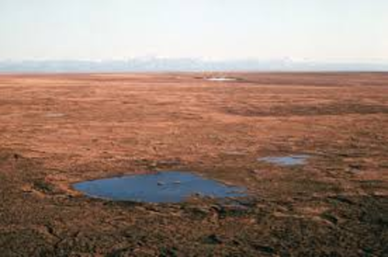 Second grade Lesson Soils of the Tundra BetterLesson