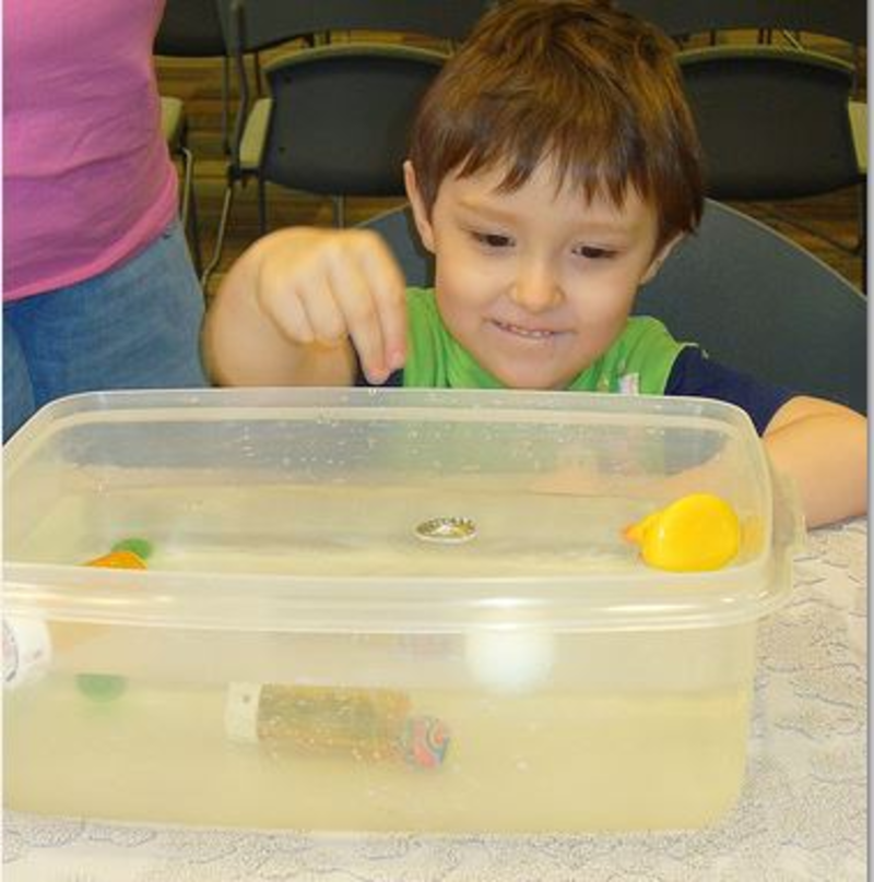 Kindergarten Lesson Sink or Float An Introduction to Buoyancy and Density