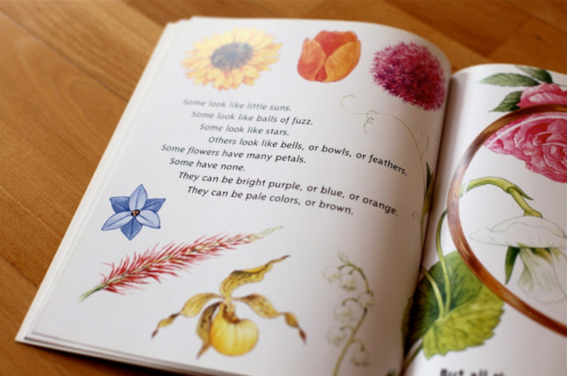 First grade Lesson Plants Secrets BetterLesson