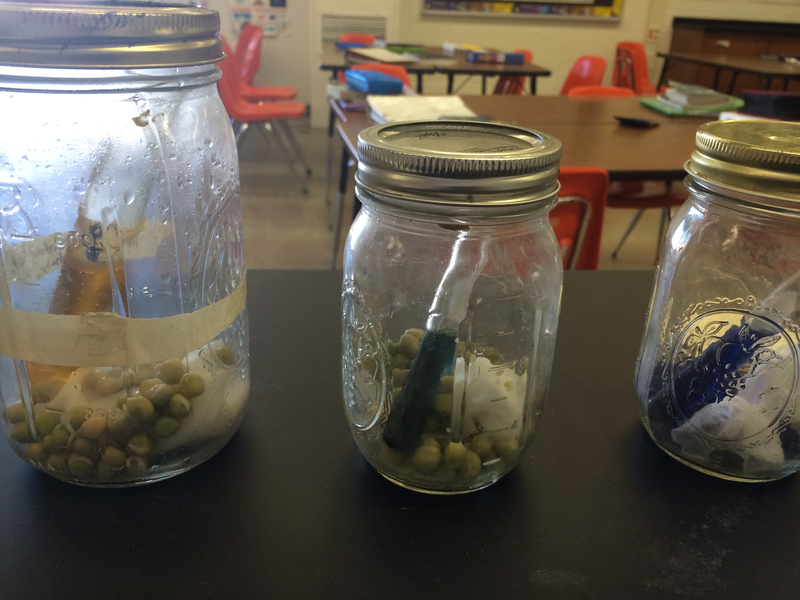 Lesson Cellular Respiration Do Plants Breathe? BetterLesson