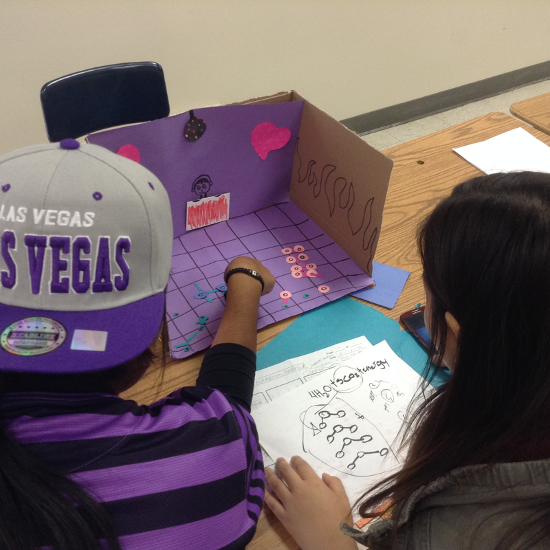 Ninth grade Lesson Intro for Culminating Project 1 StopAnimation