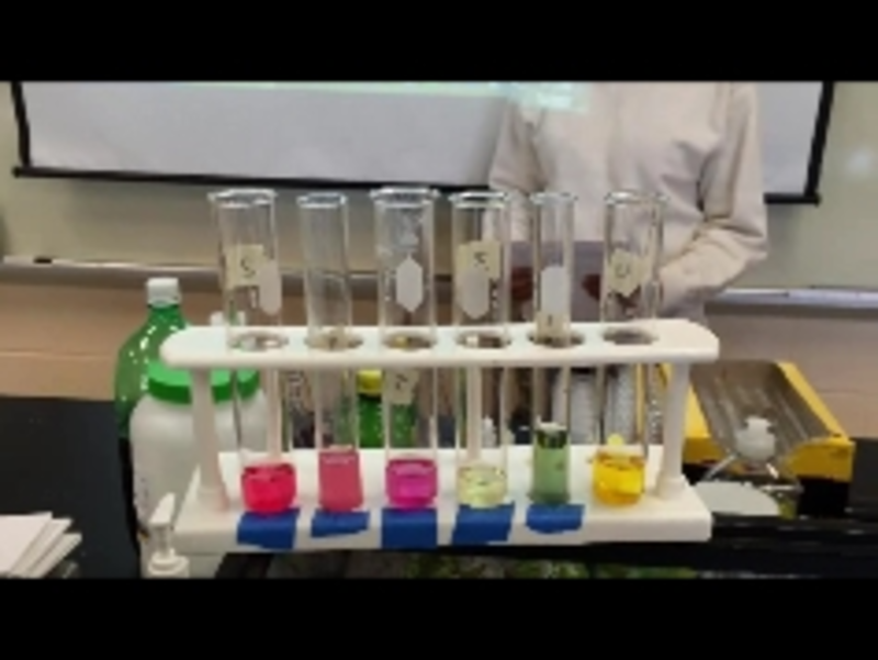 Identify Acids And Bases