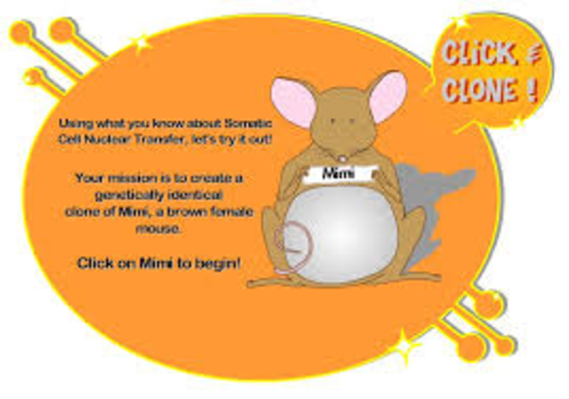 Eighth grade Lesson Click and Clone BetterLesson