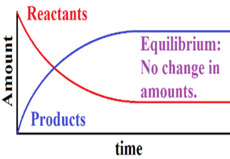 Ninth grade Lesson Graphing Equilibrium Reactions BetterLesson