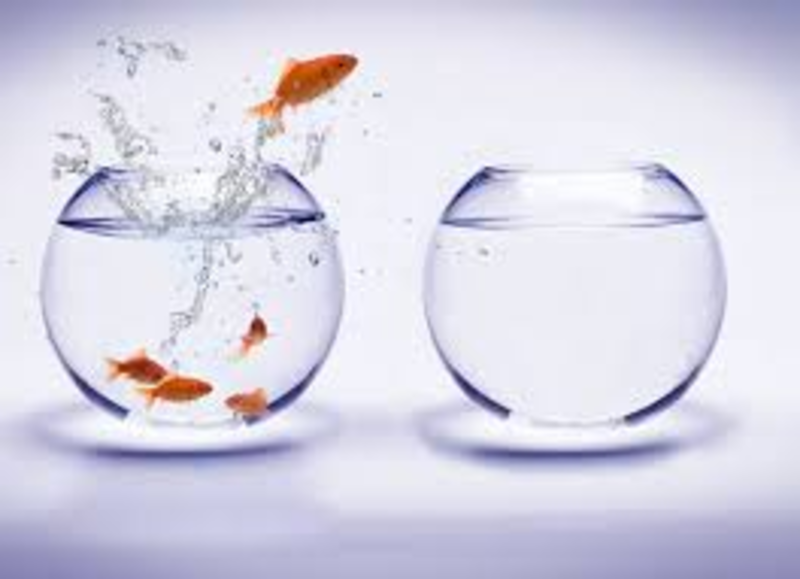 Ninth Grade Lesson Conduct Fishbowl Discussion BetterLesson