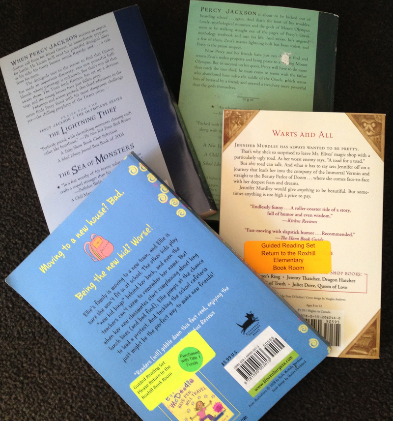 Fifth grade Lesson The Blurb on the Back | BetterLesson