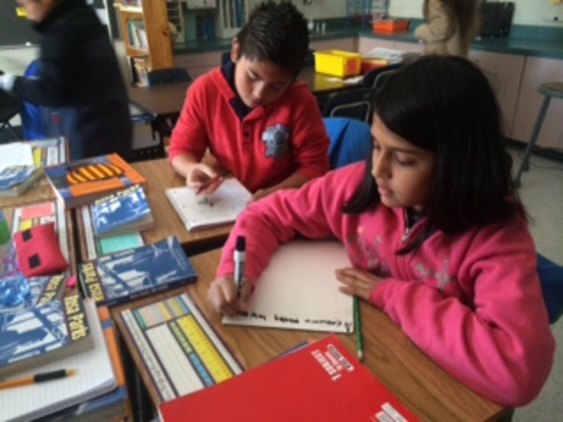 Fifth grade Lesson Text structure: Reviewing the Assessment