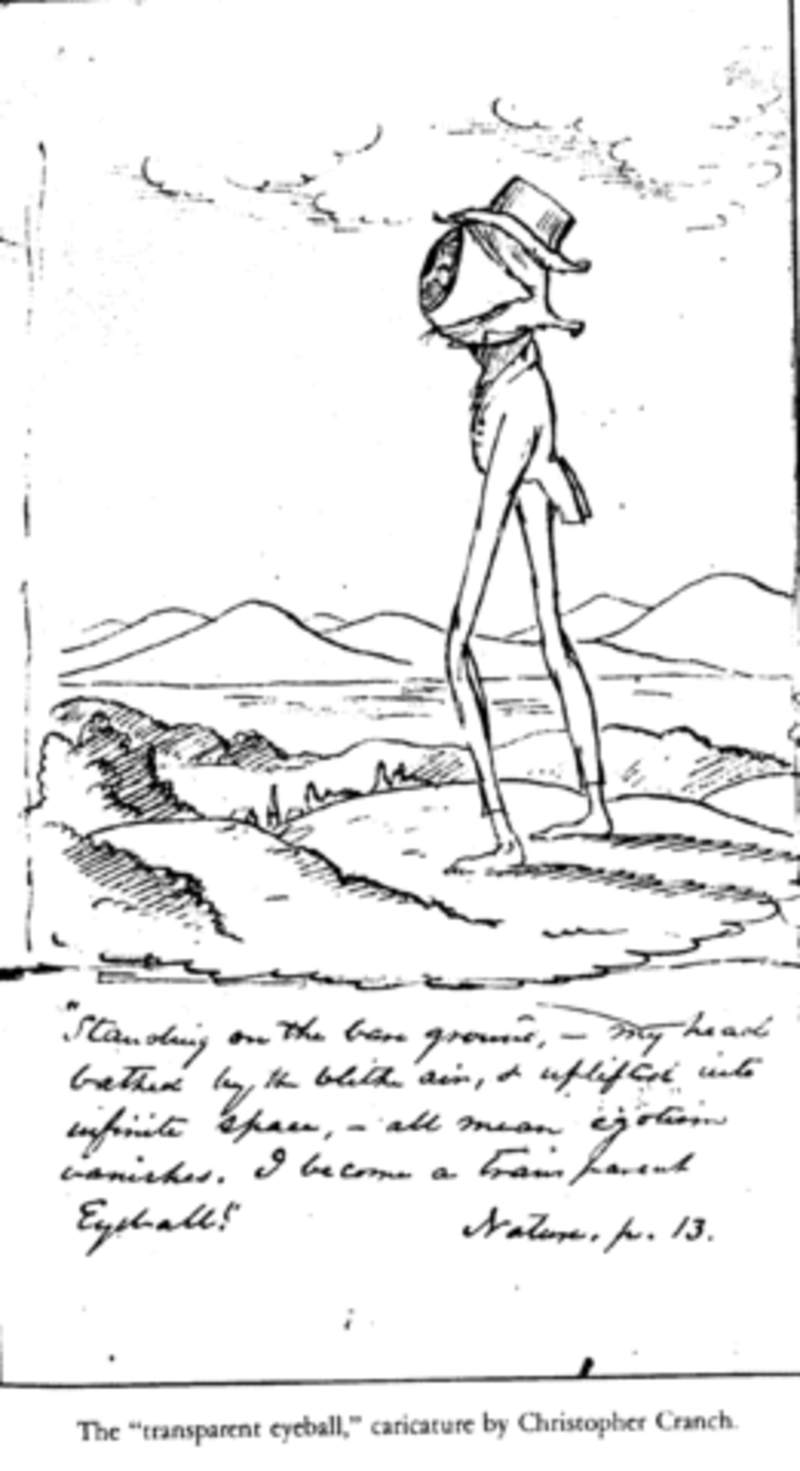 Humor in american realism mastery test quizlet picture